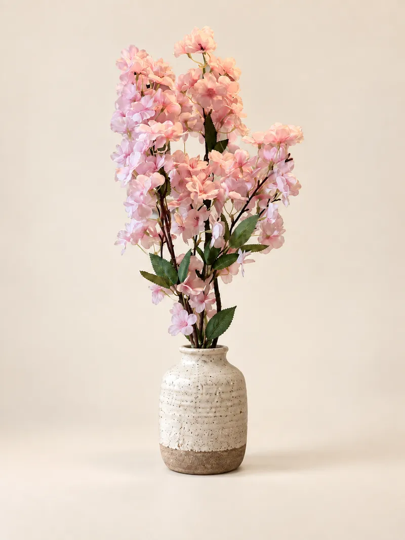Körsbärsblom — rosa – Studiobild