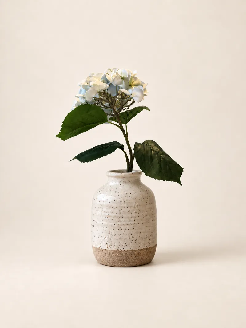Hortensia — ljust grönvit – Studiobild
