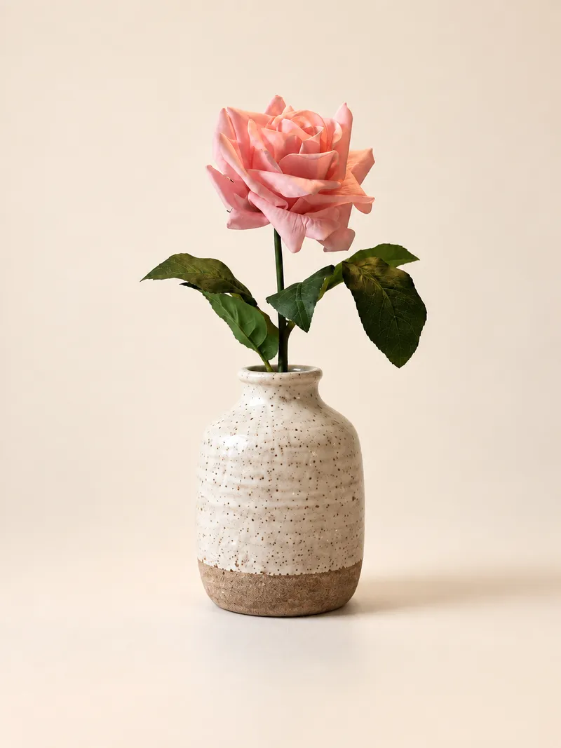 Ros — korallrosa – Studiobild