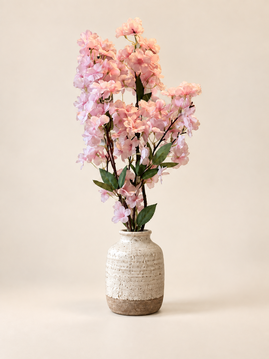 Körsbärsblom — rosa – Studiobild