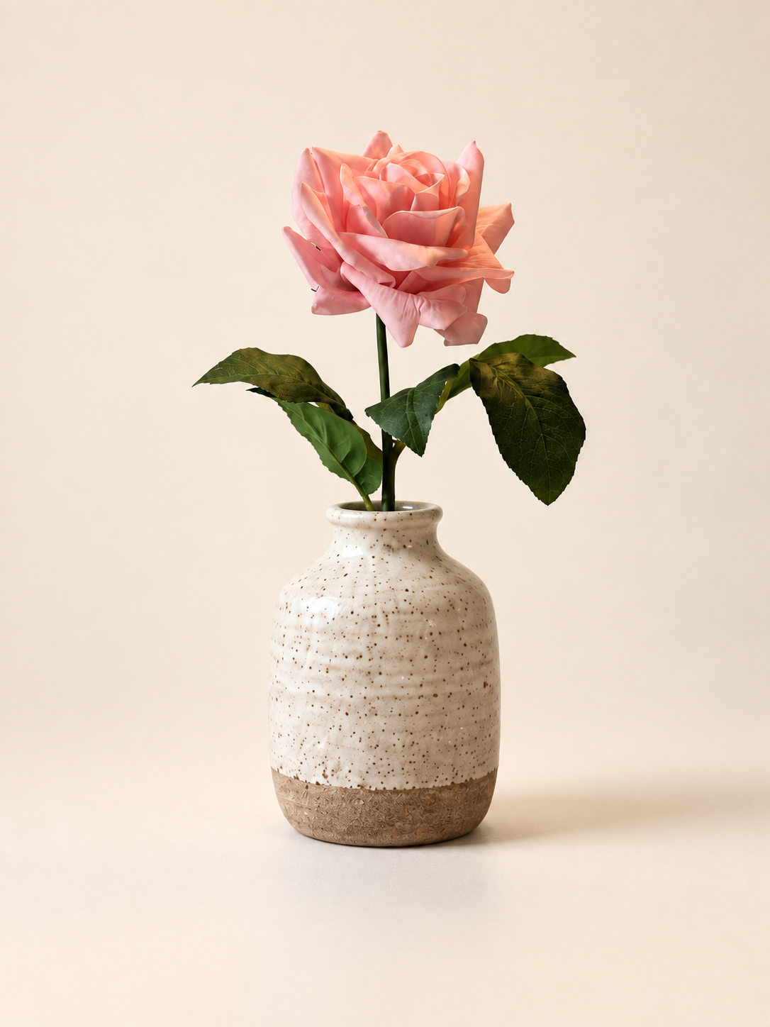 Ros — korallrosa – Studiobild